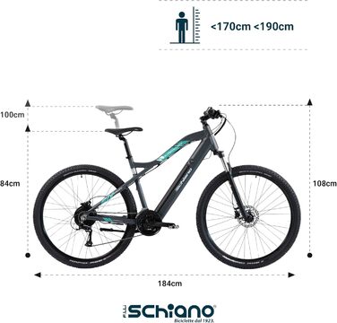 E-Bike Pedelec MTB 29