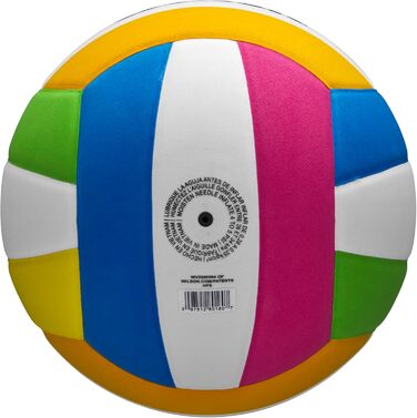Волейбольний м'яч WILSON Pro Tour для залу, офіційний розмір