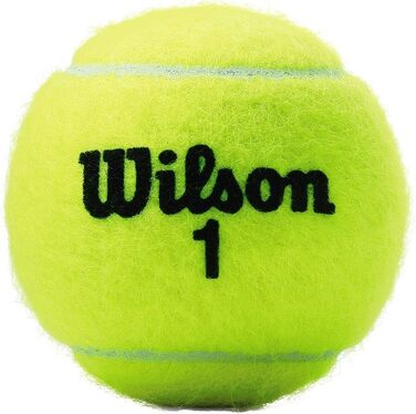 Тенісні м'ячі Wilson Championship Regular & Extra Duty, міцні"