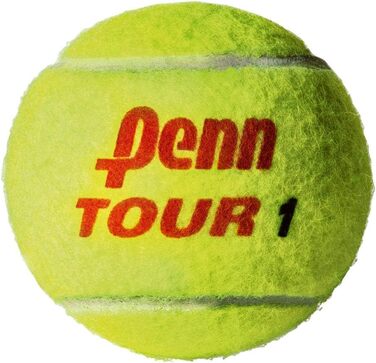 Тенісні м'ячі ATP Regular Duty, кейс для корту