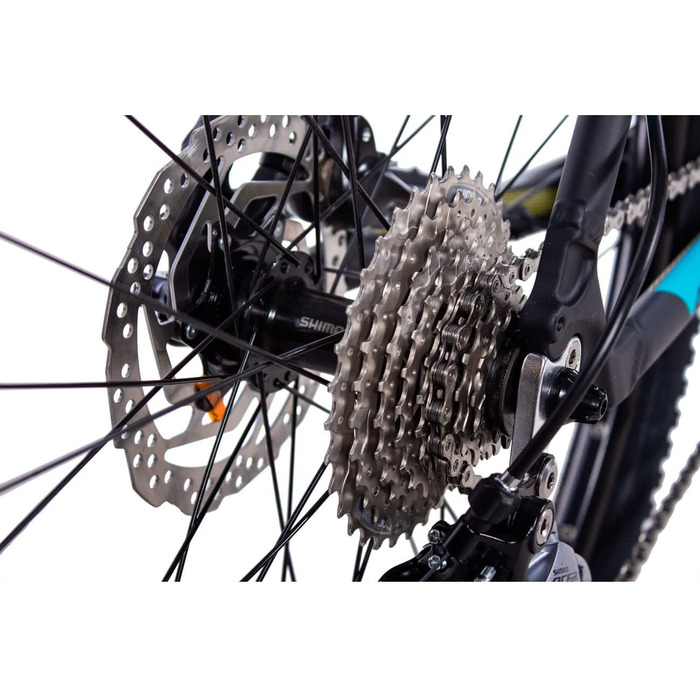 Чоловічий хардтейл Shimano Alivio 27-Speed, 2024, RH 46/51см, 29 MTB