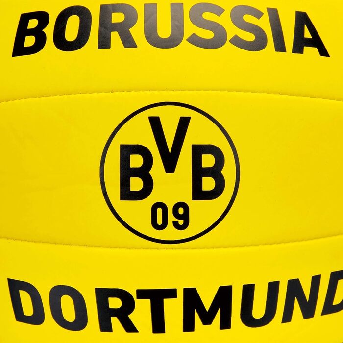 Волейбольний м'яч Borussia Dortmund BVB, розмір 5