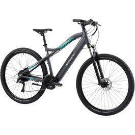 E-Bike Pedelec MTB 29