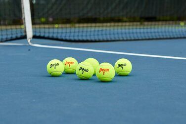 Тенісні м’ячі Penn Championship для регулярної гри, фетр, 16 банок (36 м’ячів)