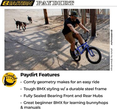 Велосипеди Східні Paydirt 20 BMX, сталева рама