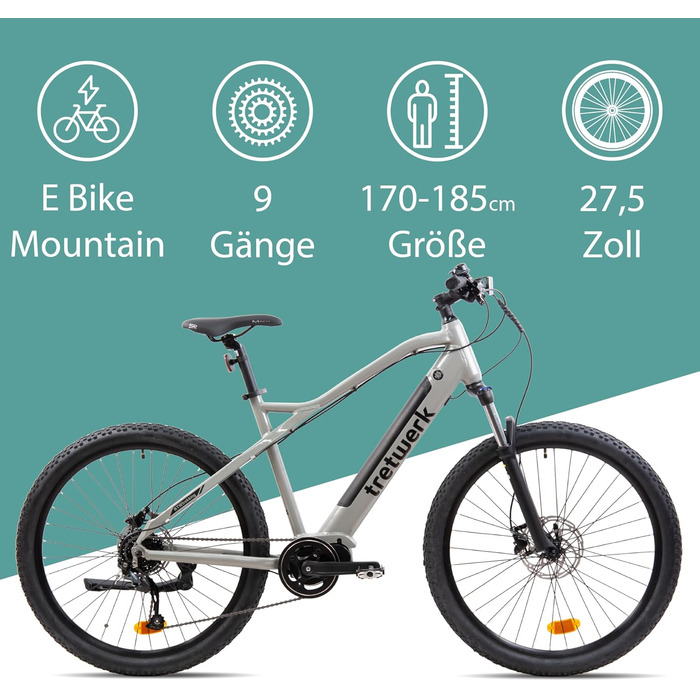 E-MTB Commander 9, задній двигун 250 Вт, ступінчастий Shimano (сірий), 27.5