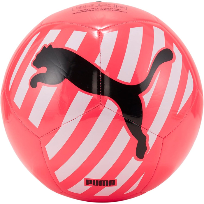 Футбольний м'яч PUMA Großer Katzenball, для дорослих, оригінал