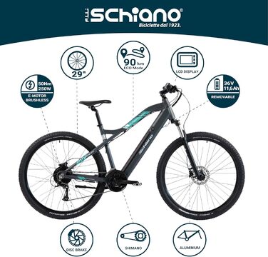 E-Bike Pedelec MTB 29