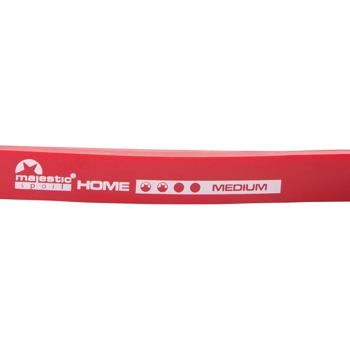 Набір Majestic Sport Resistance Bands 4 шт. з якорем і чохлом