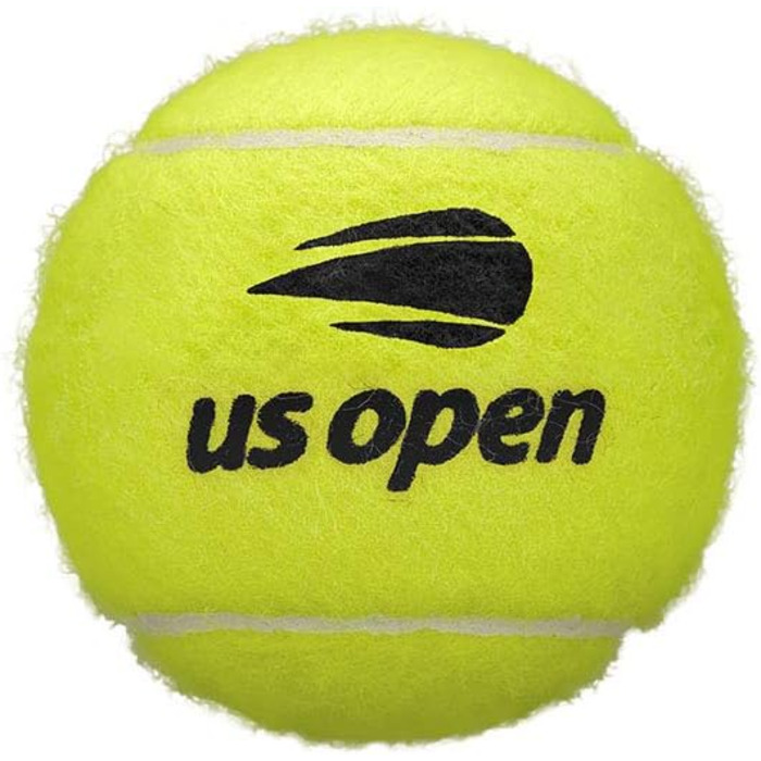 Тенісний м'яч Wilson WRT1000J US Open Extra Duty, підвищений тиск, 2 шт., для змагань