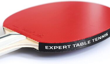 Ракетка та сумка для настільного тенісу Palio Expert 3.0 схвалено ITTF, для початківців