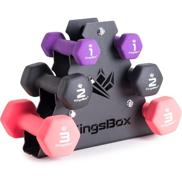 Гантелі неопренові KingsBox, 3 обважнювачі, стійка для дому/залу