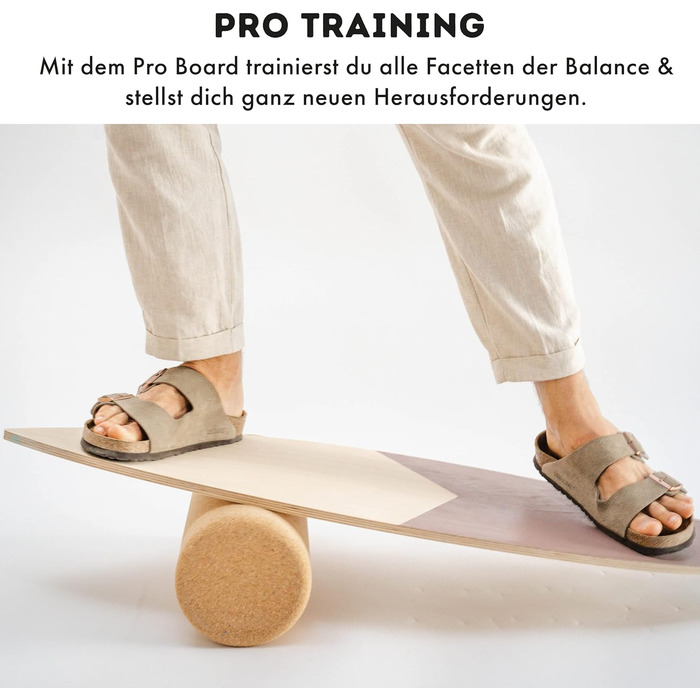 Балансборди Balance Board Pro 2.0 без підставки