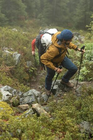 Трекінгові палиці Cascade Mountain Tech - палиці для ходьби або походів з вуглецевого волокна з швидкорегульованими засувками Надлегка ручка EVA з вуглецевого волокна чорного кольору