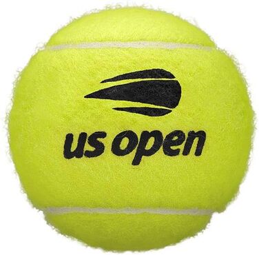 Тенісний м'яч Wilson WRT1000J US Open Extra Duty, підвищений тиск, 2 шт., для змагань