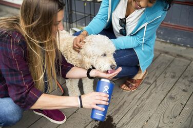 Термокухоль Hydro Flask для дорослих, 650 мл, синій, універсальний
