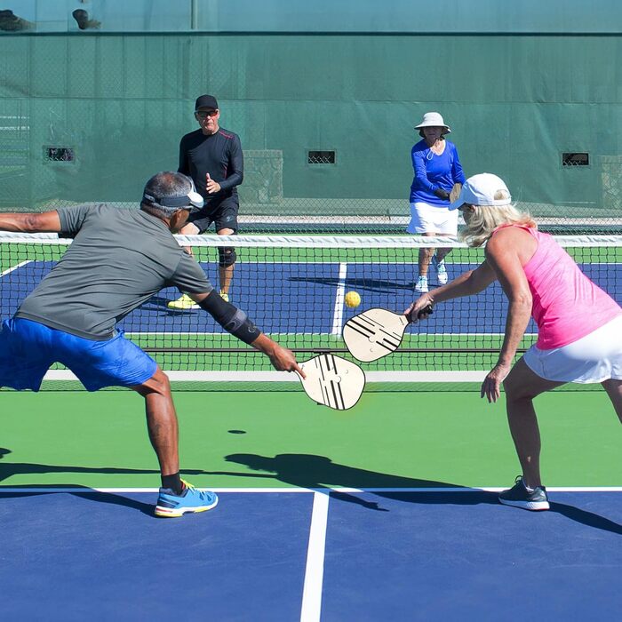 Набір сіток Patiassy Pickleball 6,6 м з розміткою, веслом і сумкою