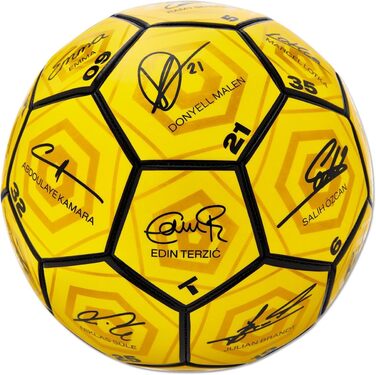 Боруссія Дортмунд Унісекс Молодь BVB Signature Ball 2023/24 Футбол, Жовтий, 5 Одиночний