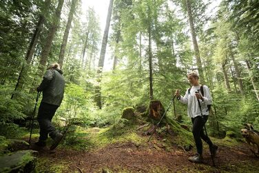 Регульовані алюмінієві трекінгові палиці Cascade Mountain Tech, легкі, швидкознімні, 1 комплект (2 палиці) коркова ручка