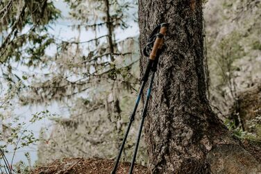 Трекінгові палиці Cascade Mountain Tech, вуглецеве волокно, з швидкорегульованими засувками, 2 шт. и сірого одного розміру з коркової ручки з вуглецевого волокна