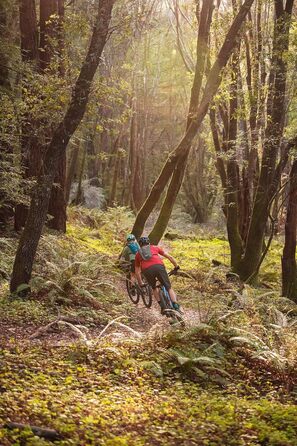 Рюкзак CAMELBAK Rogue Легкий гідратація, алюміній/чорний, один розмір