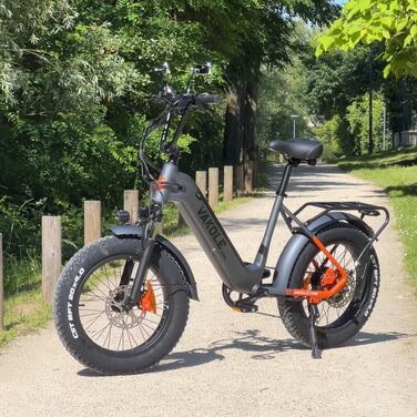 E-Bike 20 Fatbike, 48В 20Ач, до 110 км, 7-швидк.