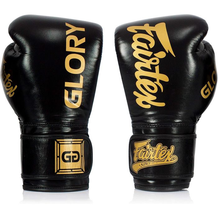 Рукавички для кікбоксингу Fairtex Glory Limited Edition (14 унцій, чорні BGVG1)