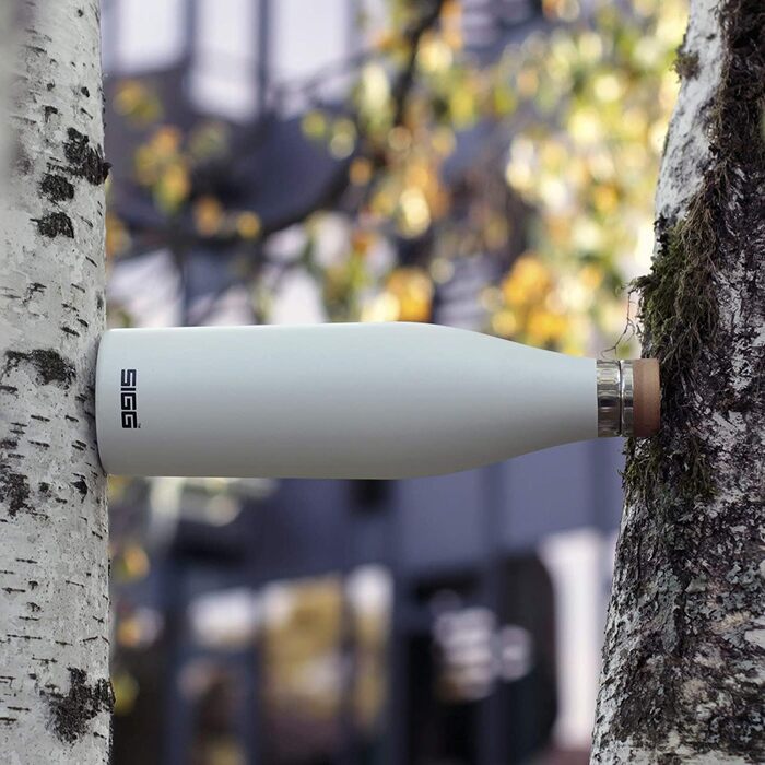 Термос-бутилка SIGG Meridian, герметична, 0,5/0,7 л, подвійна стінка з нержавіючої сталі 18/8, бамбукова кришка, BPA та пластику немає