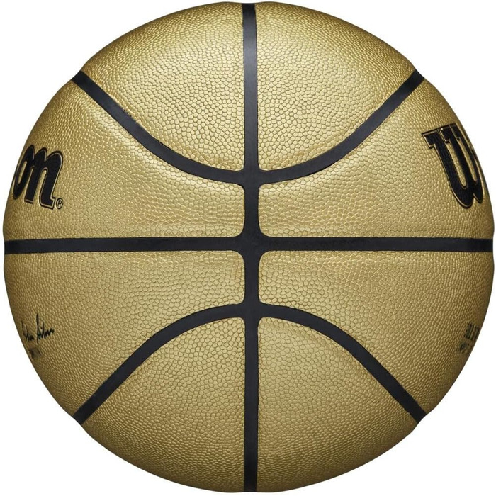 Баскетбольні м'ячі серії WILSON NBA Alliance Розмір 7 - 29.5 Gold Edition